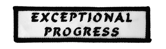 EXCEPTIONAL PROGRESS PATCH