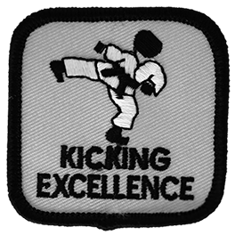 Kicking Excellence Intermediate Level
