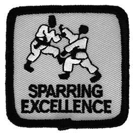 Sparring Excellence Intermediate Level