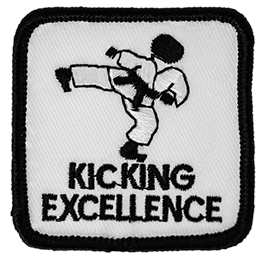 Kicking Excellence Beginner Level