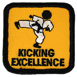 Kicking Excellence Advanced Level