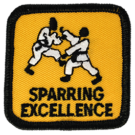 Sparring Excellence Advanced Level